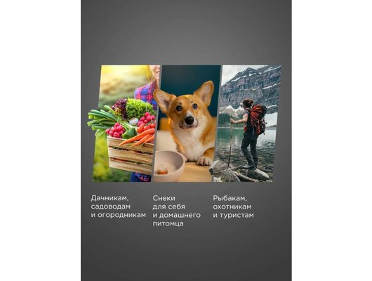 Сушилка РЕДМОНД FD1102 черный